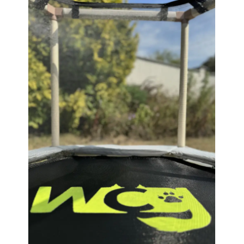 Батут  WCG Hexi S із сіткою манеж - фото №3